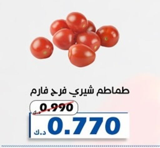 Tomato available at Al Khaldiya Society  in Kuwait - Kuwait City