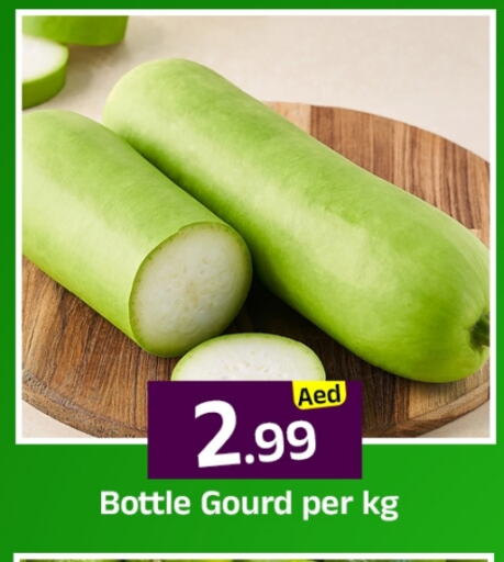 Gourd available at Mubarak Hypermarket Sharjah in UAE - Sharjah / Ajman