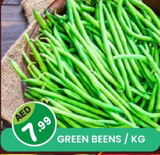 Fresh Vegetables in Baniyas Spike , UAE Offers - United Arab Emirates available at Baniyas Spike in UAE - Sharjah / Ajman