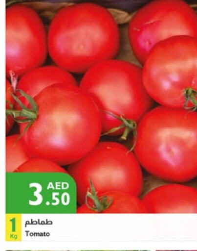 Tomato available at Istanbul Supermarket in UAE - Ras al Khaimah