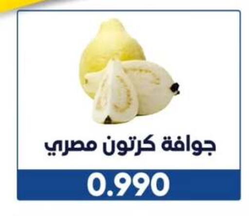جوافة available at جمعية الوفرة التعاونية in الكويت - محافظة الأحمدي
