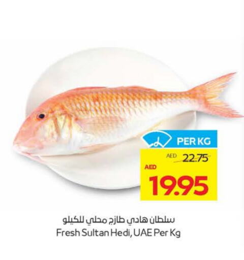 الأسماك الطازجة in ميغا مارت سوبر ماركت, UAE Offers - الإمارات العربية المتحدة available at ميغا مارت سوبر ماركت in الإمارات العربية المتحدة , الامارات - ٱلْعَيْن