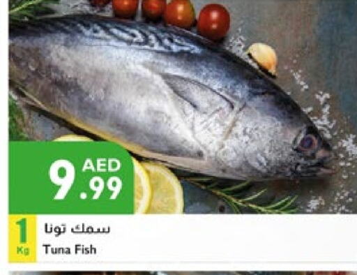 تونة available at إسطنبول سوبرماركت in الإمارات العربية المتحدة , الامارات - ٱلْعَيْن‎