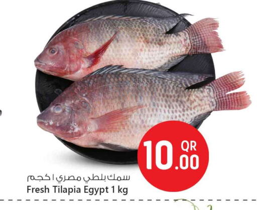 Fresh Fish in Safari Hypermarket, Qatar Offers - Qatar available at Safari Hypermarket in Qatar - Al Rayyan