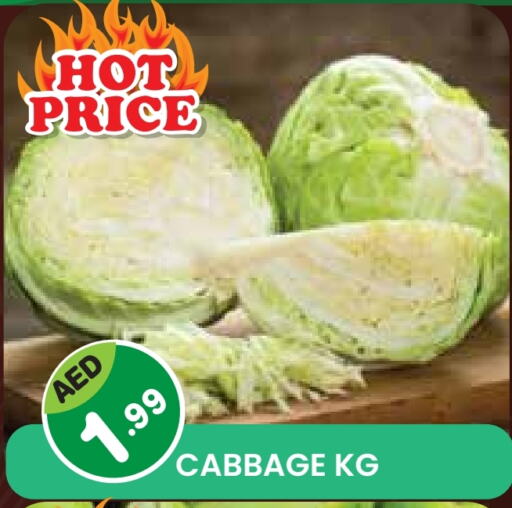 Fresh Vegetables in Baniyas Spike , UAE Offers - United Arab Emirates Cabbage available at Baniyas Spike in UAE - Sharjah / Ajman