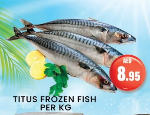 available at زين مارت سوبرماركت in الإمارات العربية المتحدة , الامارات - رَأْس ٱلْخَيْمَة