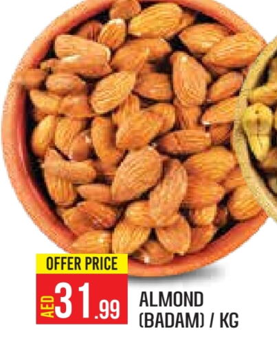 available at سنابل بني ياس in الإمارات العربية المتحدة , الامارات - أبو ظبي