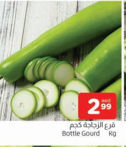 Gourd available at AL MADINA in UAE - Sharjah / Ajman
