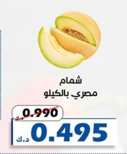 Sweet melon available at Al Khaldiya Society  in Kuwait - Kuwait City