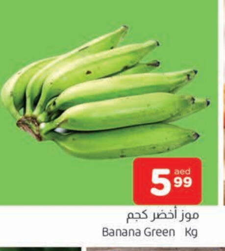 Banana Green available at AL MADINA in UAE - Sharjah / Ajman