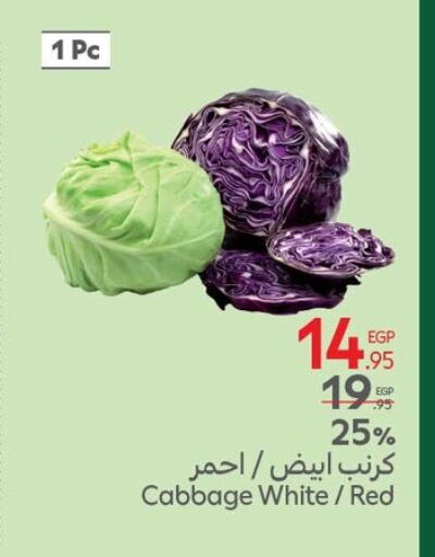 كرنب available at كارفور in Egypt - القاهرة