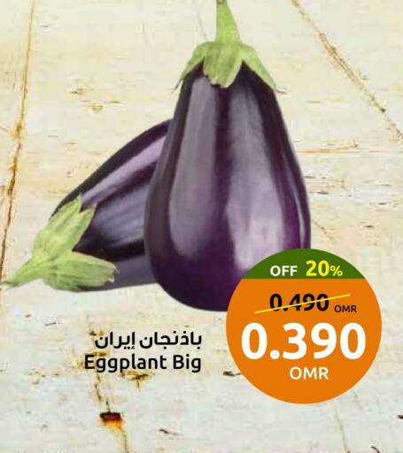 Eggplant available at Sultan Center  in Oman - Muscat