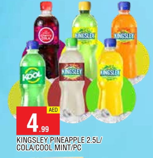 Powdered Drinks & Syrups in AL MADINA, UAE Offers - United Arab Emirates Pineapple Mint available at AL MADINA in UAE - Sharjah / Ajman