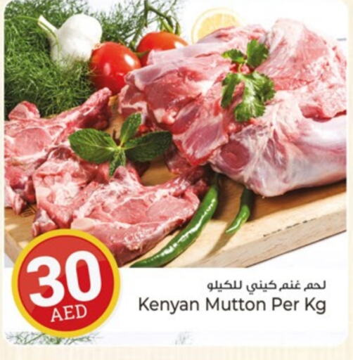 لحم الضأن / الغنم available at كنز هايبرماركت in الإمارات العربية المتحدة , الامارات - الشارقة / عجمان