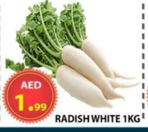 Fresh Vegetables in AL WAHDA DISCOUNTS CENTRE, UAE Offers - United Arab Emirates Radish available at AL WAHDA DISCOUNTS CENTRE in UAE - Sharjah / Ajman