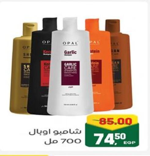 شامبو / بلسم available at جلهوم ماركت in Egypt - القاهرة