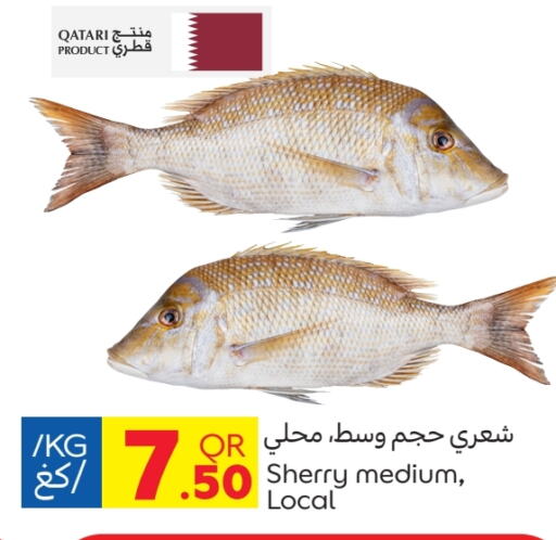 Fresh Fish in Carrefour, Qatar Offers - Qatar available at Carrefour in Qatar - Doha