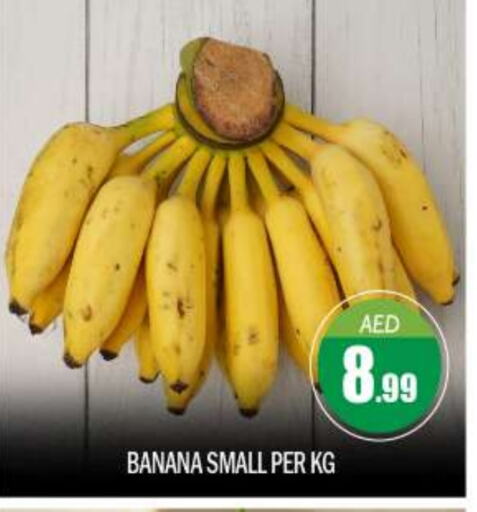 موز available at بيج مارت in الإمارات العربية المتحدة , الامارات - أبو ظبي