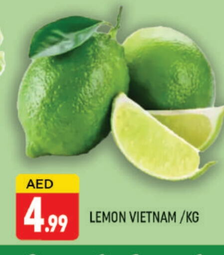 lemon from Vietnam available at AL MADINA (Dubai) in UAE - Dubai