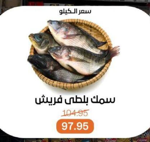 Fresh Fish in Beit El Gomla, Egypt Offers - Egypt available at Beit El Gomla in Egypt - Cairo