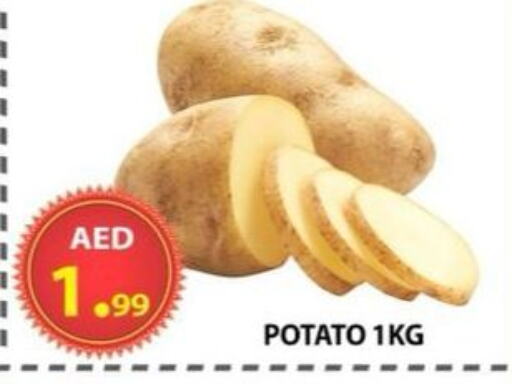 Fresh Vegetables in AL WAHDA DISCOUNTS CENTRE, UAE Offers - United Arab Emirates Potato available at AL WAHDA DISCOUNTS CENTRE in UAE - Sharjah / Ajman