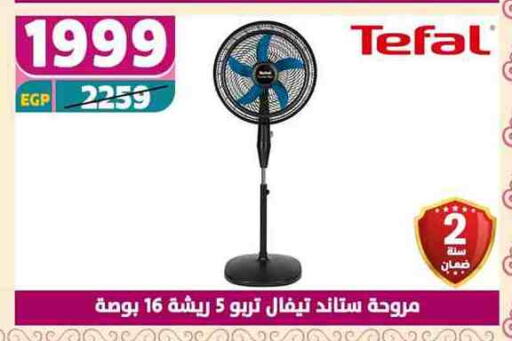Fan available at Shaheen Center in Egypt - Cairo