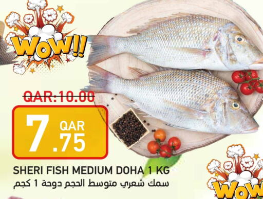 available at Rambo Mart in Qatar - Al-Shahaniya