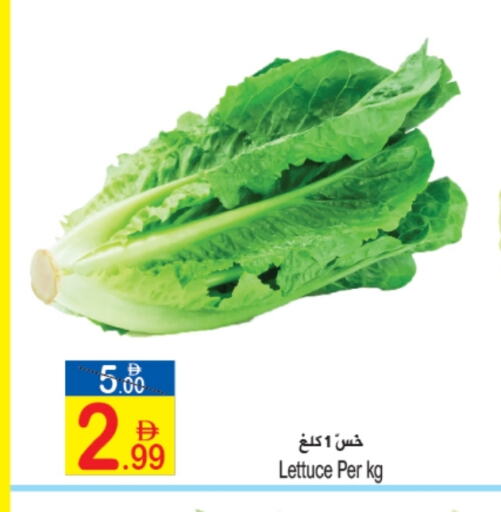 الخضروات الطازجة in سن اند ساند هايبر ماركت ذ.م.م, UAE Offers - الإمارات العربية المتحدة Lettuce available at سن اند ساند هايبر ماركت ذ.م.م in الإمارات العربية المتحدة , الامارات - رَأْس ٱلْخَيْمَة