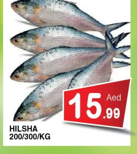 Fresh Fish in Ain Al Madina Hypermarket, UAE Offers - United Arab Emirates available at Ain Al Madina Hypermarket in UAE - Sharjah / Ajman