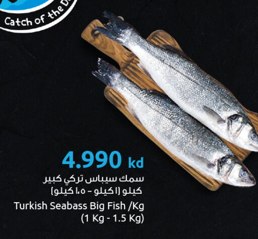 Fresh Fish in The Sultan Center, Kuwait Offers - Kuwait available at The Sultan Center in Kuwait - Kuwait City