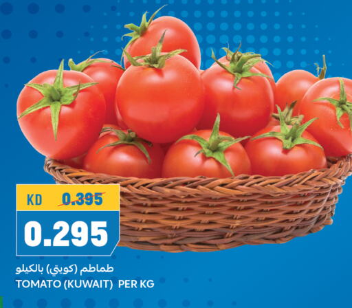 Tomato from Kuwait available at Oncost in Kuwait - Ahmadi Governorate