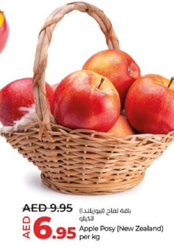 تفاح from New Zealand available at لولو هايبرماركت in الإمارات العربية المتحدة , الامارات - أبو ظبي