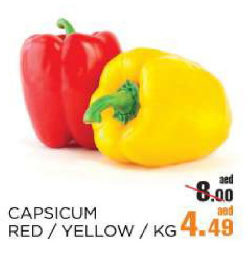 Chilli / Capsicum available at OK Hypermarket LLC SPC in UAE - Abu Dhabi