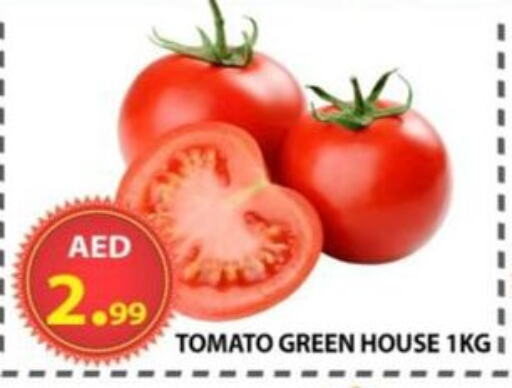 Fresh Vegetables in AL WAHDA DISCOUNTS CENTRE, UAE Offers - United Arab Emirates Tomato available at AL WAHDA DISCOUNTS CENTRE in UAE - Sharjah / Ajman