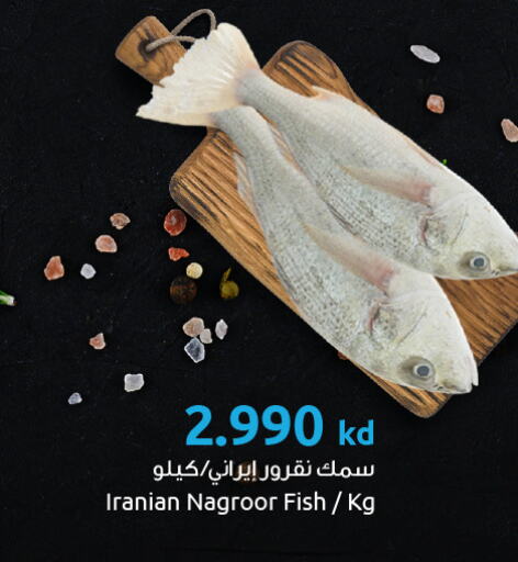 Fresh Fish in The Sultan Center, Kuwait Offers - Kuwait available at The Sultan Center in Kuwait - Kuwait City