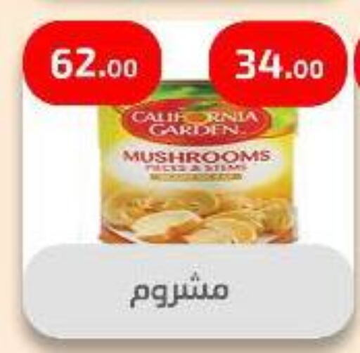 Canned & Packeted in Ehab Prince, Egypt Offers - Egypt CALIFORNIA GARDEN available at Ehab Prince in Egypt - Cairo