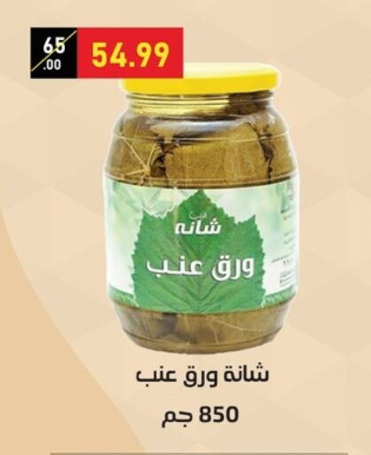 Canned & Packeted in Al Habib Market, Egypt Offers - Egypt available at Al Habib Market in Egypt - Cairo