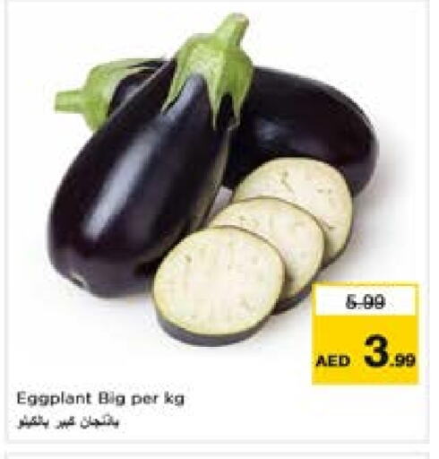 Eggplant available at لاست تشانس in الإمارات العربية المتحدة , الامارات - ٱلْفُجَيْرَة‎