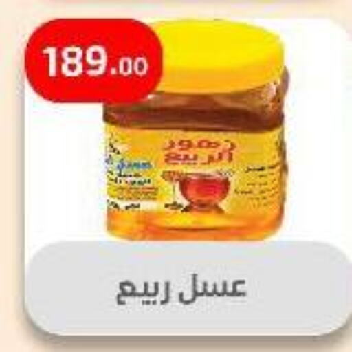Sauces & Spreads in Ehab Prince, Egypt Offers - Egypt Honey available at Ehab Prince in Egypt - Cairo