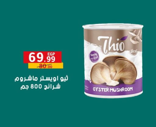 Canned & Packeted in Al Habib Market, Egypt Offers - Egypt Mushroom available at Al Habib Market in Egypt - Cairo