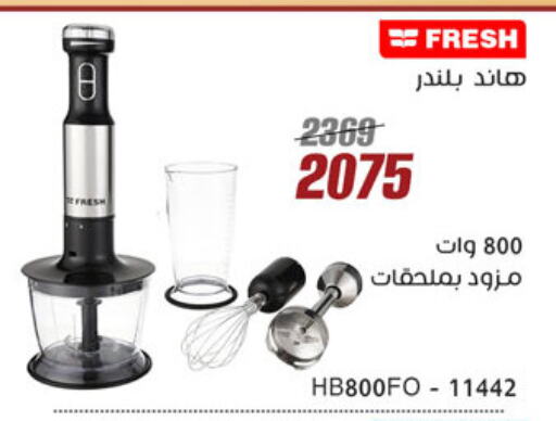 FRESH Mixer / Grinder available at Al Morshedy  in Egypt - Cairo