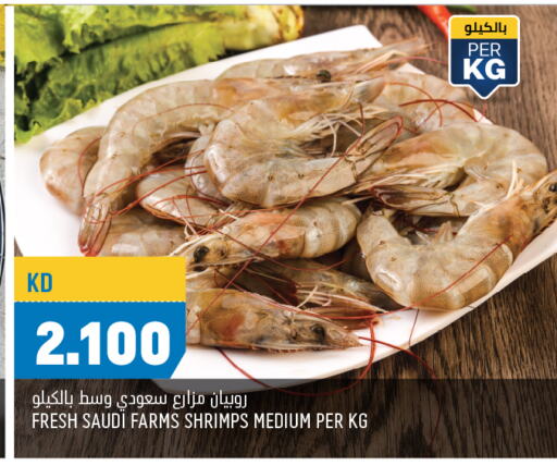 Fresh Fish in Oncost, Kuwait Offers - Kuwait available at Oncost in Kuwait - Ahmadi Governorate