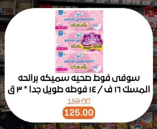 Feminine Hygiene in Beit El Gomla, Egypt Offers - Egypt available at Beit El Gomla in Egypt - Cairo