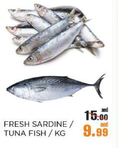 available at OK Hypermarket LLC SPC in UAE - Abu Dhabi