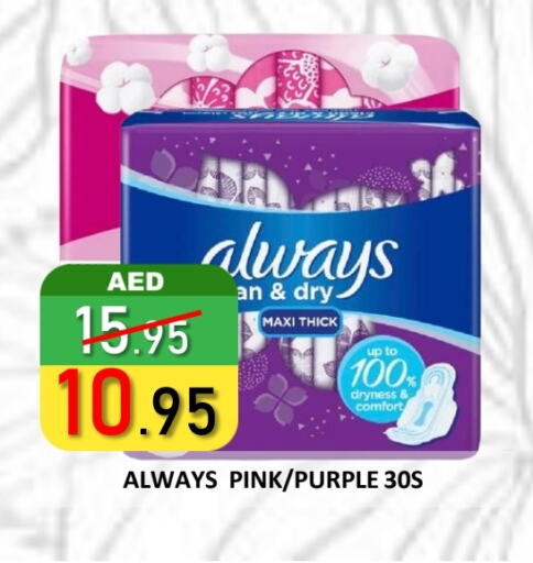 ألويز available at رويال جلف هايبرماركت in الإمارات العربية المتحدة , الامارات - أبو ظبي