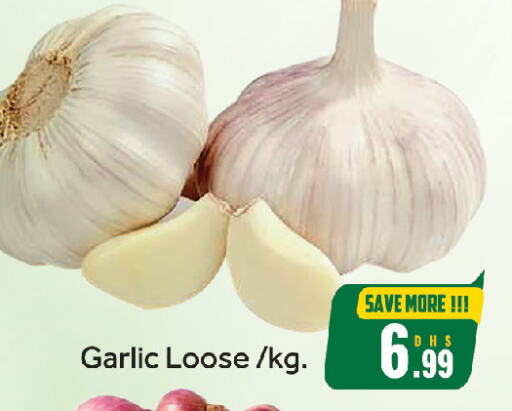 Fresh Vegetables in FOODZONE HYPERMARKET, UAE Offers - United Arab Emirates Garlic available at FOODZONE HYPERMARKET in UAE - Sharjah / Ajman
