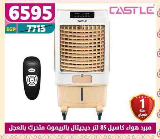 CASTLE Air Cooler available at Shaheen Center in Egypt - Cairo