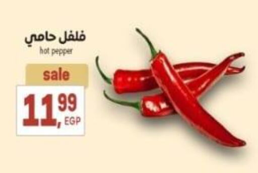 Fresh Vegetables in El.Husseini supermarket , Egypt Offers - Egypt Chilli / Capsicum available at El.Husseini supermarket in Egypt - Cairo