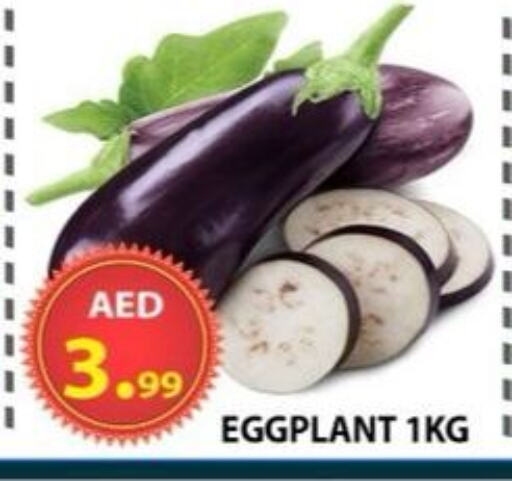 Fresh Vegetables in AL WAHDA DISCOUNTS CENTRE, UAE Offers - United Arab Emirates Eggplant available at AL WAHDA DISCOUNTS CENTRE in UAE - Sharjah / Ajman