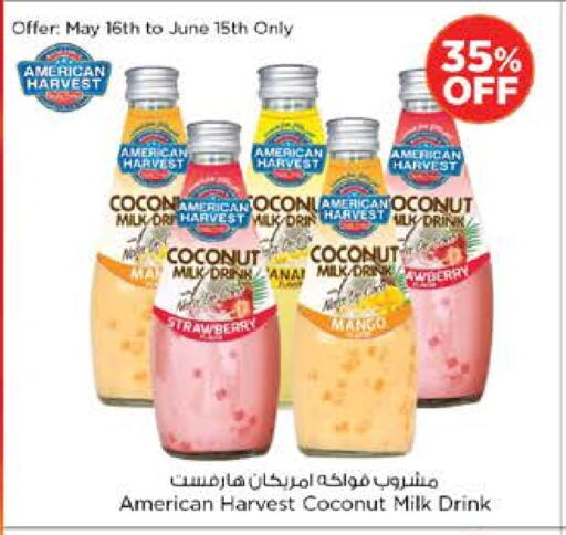 Coconut Mango available at Nesto Hypermarket in UAE - Al Ain